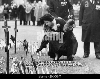 Die Königin besucht das Feld der Erinnerung in Westminster -- H.M. die Königin pflanzte ein mit Mohn dekoriertes Kreuz im Feld der Erinnerung, das erneut auf dem Gelände der Westminster Abbey, London, eröffnet wurde. 09. November 1951. (Foto von Sport & General Press Agency Limited). Stockfoto