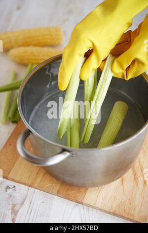 Süßmaispapier - Einlegen von Schalen in eine Pfanne mit Ringelblumen-Handschuhen Stockfoto