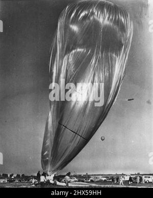 'Giant Skyhook' startbereit -- der größte bekannte unbemannte Ballon steht vor seinem Anker und soll heute früh starten. Der Ballon sollte Instrumente mit kosmischer Strahlung tragen, die etwa 23 Meilen hoch waren, aber Löcher entwickelten sich in dem zerbrechlichen Kunststoff und die Instrumentenlast wurde abgenommen. Es wurde beschlossen, die Ballons trotzdem zu veröffentlichen, um Erfahrungen zu sammeln. Der Big wurde für das Büro der Naval Research gebaut, um kosmische Strahlung besser zu untersuchen. Abgebildet sind die oberen 100 Fuß des Ballons, der 287 Fuß lang war. Der kleine auf der rechten Seite ist ein Luftballon, der den Wind erkennt. 03. September 1952. (Foto von Stockfoto