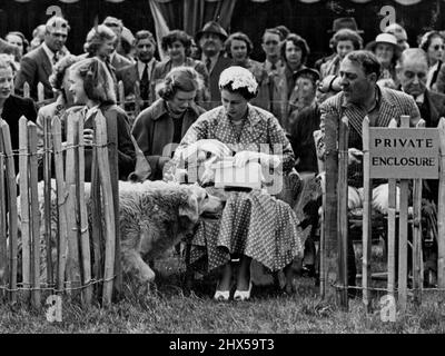 Nun, wenn es kein Hund ist, der seinen Tag hat! Er ging gestern aus der Menge und beobachtete das Polo im Cowdray Park, Sussex, bis hin zur Queen. Er wartete auf ein freundliches Pat, holte es und trabte mit dem Schwanz weg. Die Königin beobachtete zwei Stunden lang das Polo. Sie überreichte dem argentinischen Polo-Team den Krönungscup nach dem 7-6. Mit über England. Ein zotteliger Hund begrüßt die Queen beim Argentine-England Coronation Cup Polospiel im vergangenen Jahr. 22. Juni 1953. (Foto von Daily Mirror). Stockfoto