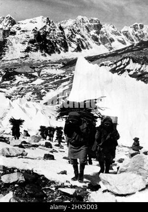 Swiss Everest Expedition - Sherpani (Sherpa-Frauen) trägt Feuerholz auf dem von kleinen cairns markierten Carvan-Trail (auf Felsbrocken im Vordergrund). 27. Juni 1952. Stockfoto