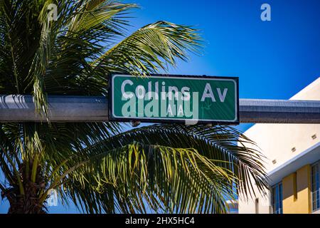 Berühmte Collins Avenue - Straßenschild in Miami Beach Stockfoto