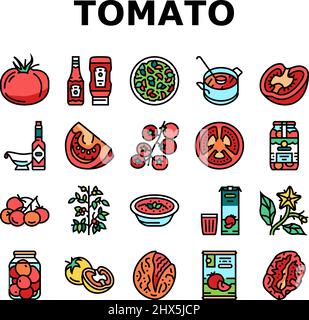Tomate Natürliches Vitamin Gemüse Symbole Set Vektor Stock Vektor