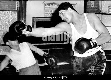 Der Riesige Südafrikanische Boxer Hat Seinen Ersten Wettkampf In England. Ewart Potgieter in Aktion während des Trainings. Ewart Potgieter, der riesige südafrikanische Schwergewichtboxer, beendet jetzt sein Training, um für seinen Wettkampf gegen Simon Templar im White City Stadium, London, vorbereitet zu sein. 12. September 1955. (Foto von Sports und General Press Agency Limited) Stockfoto