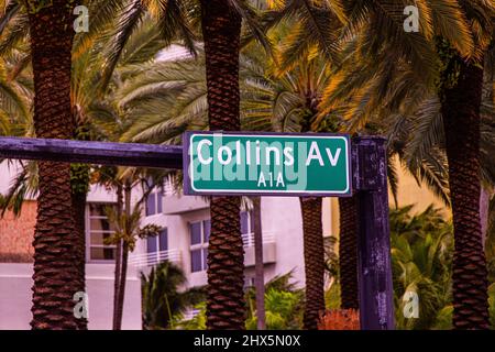 Berühmte Collins Av - Straßenschild in Miami Beach Stockfoto