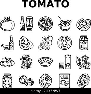 Tomate Natürliches Vitamin Gemüse Symbole Set Vektor Stock Vektor