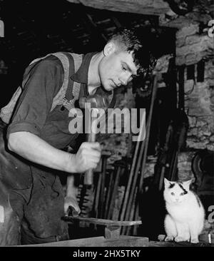 Eine Ausbildung zu Einem sterbenden Handwerk -- bereits jetzt sind die Stadtbewohner geneigt, den Dorfschmied als eine malerische Figur aus der Vergangenheit zu betrachten, jetzt, da Traktoren mit Serienteilen schnell die Bauernpferde ersetzen. Der 19-jährige David Parry, einer der wenigen Schmiede im Land, hält das Handwerk in der Dorfschmiede von Albrighton, in der Nähe von seinem Kingswood, Shropshire, am Leben. Mit seinem hier ist Fluffy, die Schmiede Maskottchen. 16. Dezember 1955. (Foto von Reuterphoto) Stockfoto