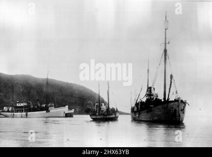 Andrees Lager auf der Weißen Insel: Nach 33 Jahren: Der Bratvaag vor Anker bei Skjervo, an der Nordküste Norwegens, nach der Rückkehr von der Weißen Insel mit den Reliquien der Andree-Expedition. Auf der linken Seite sind zwei Dampfer Heimen und Tromso Boy, mit Pressevertretern an Bord. 15. Oktober 1930. (Foto von The Times) Stockfoto