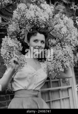 Raffinierte Sonja - ein attraktives Porträt der 26-jährigen deutschen Star Sonja Ziemann, deren erster britischer Film "Made in Heaven" ist. Dieser Künstler beginnt in „Made in Heaven“. In dieser Originalgeschichte von George H. Brown, einem Theaterstück von William Douglas-Home, sind David Tomlinson, Petula Clark, Sonja Ziemann und A. E. Matthews die Stars, mit Charles Victor und Sophie Stewart. Gedreht in Technicolor in den Pinewood Studios, wurde „Made in Heaven“ von John Paddy Carstairs unter der Regie von George H. Brow Stockfoto