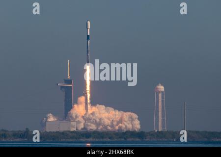 Eine Falcon 9-Rakete startet vom LC-39A auf der Cape Canaveral Space Force Station, Florida, 3. März 2022. Die Starlink 4-9-Mission brachte die nächste Charge der Starlink-Satelliten von SpaceX in die Umlaufbahn. (USA Space Force Foto von Joshua Conti) Stockfoto