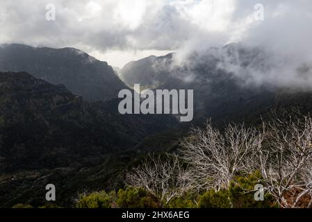 Panoramaaufnahme des Tals von Ribeira Brava mit aufsteigenden Wolken, aufgenommen vom Wanderweg 'Vereda da Encumeada', Madeira, Portugal Stockfoto