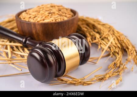 Beurteilen Sie den Hammer mit gutem Getreidreis von der landwirtschaftlichen Farm. Gesetz und Gericht Konzept. Stockfoto