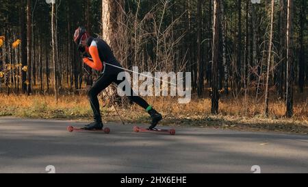 Training eines Athleten auf den Rollern. Biathlon-Fahrt auf den Rollskiern mit Skistöcken, im Helm. Herbsttraining. Rollensport. Erwachsener Mann, der auf Schlittschuhe reitet. Der Athlet bereitet sich auf den Start vor. Stockfoto