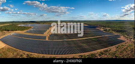 Luftaufnahme eines riesigen Solarparks mit Reihen von Photovoltaik-Panels inmitten einer bewaldeten Landschaft unter blauem Himmel Stockfoto