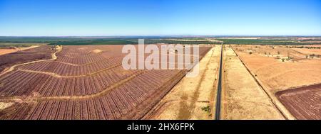 Panoramablick auf Ackerland mit gepflügten und geernteten Feldern unter einem klaren blauen Himmel Peak Downs Qld Australia Stockfoto