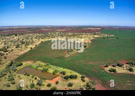 Luftaufnahme von broadacre Crop Sorgum neben dem Peak Downs Highway in der Nähe von Clermont Queensland Australia Stockfoto