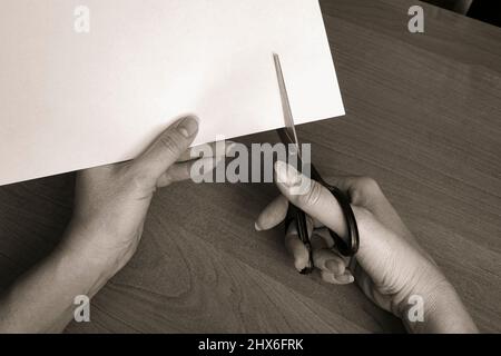 Weibliche Hände schneiden mit einer Schere ein weißes Blatt Papier. Das Konzept von Zerstörung, Bruch, Nadelarbeit. Stockfoto