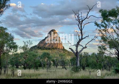 Wolfang Peak Peak Ranges National Park Queensland Australien Stockfoto