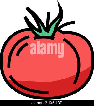 Tomate Vitamin Gemüse Farbe Symbol Vektor Illustration Stock Vektor