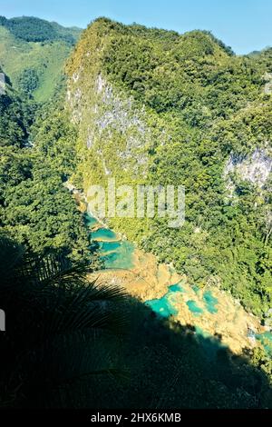 Die fantastischen türkisfarbenen Pools von Semuc Champey, Rio Cabohon, Lanquin, Alta Verapaz, Guatemala Stockfoto