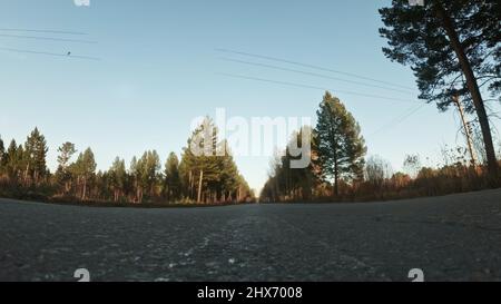 Training eines Athleten auf den Rollern. Biathlon-Fahrt auf den Rollskiern mit Skistöcken, im Helm. Herbsttraining. Rollensport. Erwachsener Mann, der auf Schlittschuhe reitet. Action Cam aufnehmen. Zeitlupe. Stockfoto