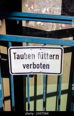 Weißes Schild mit der Aufschrift 'Taubenfütterung verboten' in deutscher Sprache auf einem blauen Brückengeländer Stockfoto