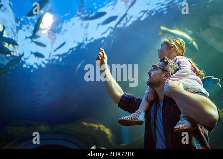 Ganz nah an all den Meereslebewesen. Ausgeschnittene Aufnahme eines Vaters und seiner kleinen Tochter, die eine Ausstellung in einem Aquarium betrachten. Stockfoto