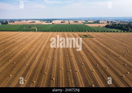 Blick auf Ballen auf dem Feld Stockfoto