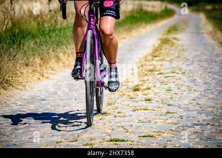 Radfahren auf Flandern-Kopfsteinpflasterstraßen Stockfoto