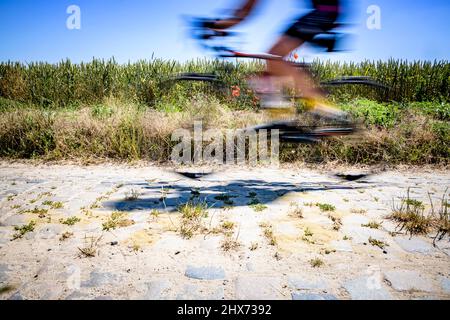 Radfahren auf Flandern-Kopfsteinpflasterstraßen Stockfoto