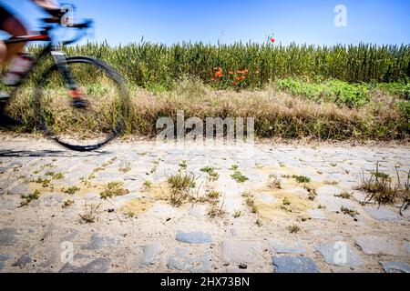 Radfahren auf Flandern-Kopfsteinpflasterstraßen Stockfoto