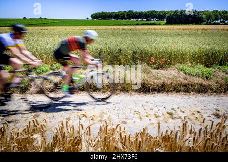 Radfahren auf Flandern-Kopfsteinpflasterstraßen Stockfoto