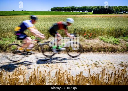 Radfahren auf Flandern-Kopfsteinpflasterstraßen Stockfoto