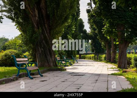 Sonniger Frühlingsmorgen auf dem kiewer Damm. Landschaftlich reizvolle Stadtkulisse von uschgorod. Reihe von alten Kastanienbäumen entlang des Wanderweges in strahlendem Licht gesäumt Stockfoto