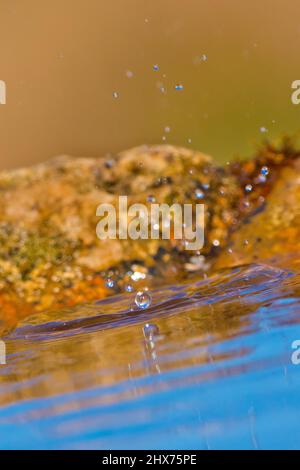 Wassertropfen, die in die Luft spritzen Stockfoto