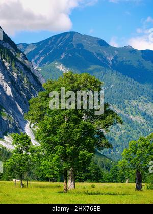 Alpe Grosser Ahornboden. Karwendelgebirge bei eng Alpe im Tal des Rissbaches in Tirol. Europa, Österreich Stockfoto