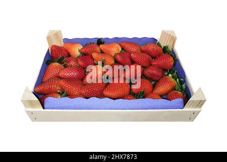 Erdbeeren in einer Holzkiste , Bio-Obst Stockfoto