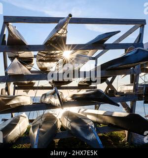 Kajaks des lokalen Clubs in der Altstadt am Kolonialhafen. Nuuk die Hauptstadt Grönlands im Spätherbst. Amerika, Nordamerika, Grönland, Stockfoto