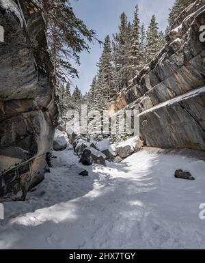 Winteransicht des Jura Creek in Kananaskis, Alberta, Kanada Stockfoto