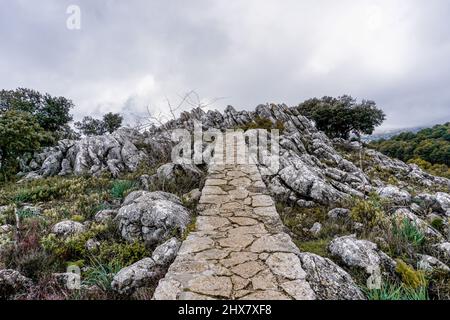 Blick auf den Aussichtspunkt Mirador del Guarda Forestal in der Sierra de las Nieves Stockfoto