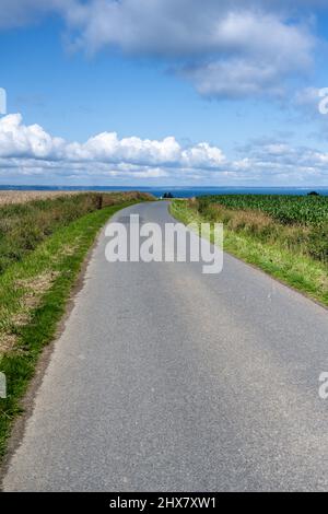 Eine einfache asphaltierte Landstraße ohne Spurmarkierungen führt durch flache bewachsene Felder unter einem blauen Himmel mit fröhlichen Wolken. Stockfoto