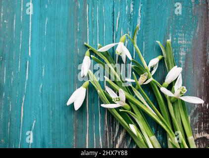 Weiße Schneeglöckchen auf blauem und braunem Holzhintergrund Stockfoto