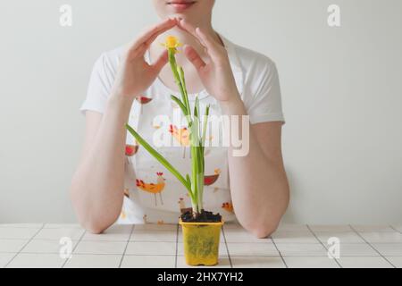 Lächelnde Frau in Schürze mit Frühlingsblumendaffodil in einem Topf. Gartenbau, Frühling und Osterkonzept. Stockfoto