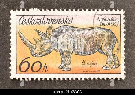 Abgesagte Briefmarke gedruckt von der Tschechoslowakei, die Rhino zeigt, um 1976. Stockfoto