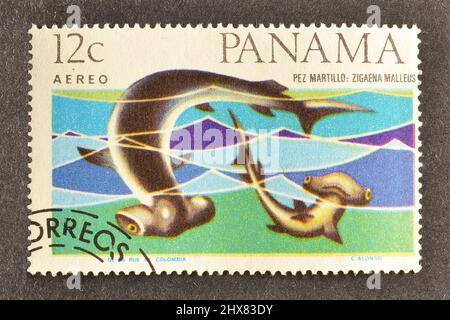 Abgesagte Briefmarke gedruckt von Panama, die glatten Hammerhead Shark (Sphyrna zygaena) zeigt, um 1965. Stockfoto
