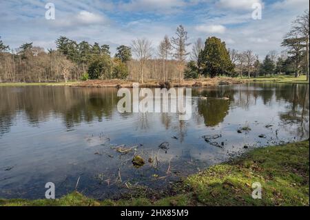 See am Painshill Park Cobham im frühen Frühjahr Stockfoto