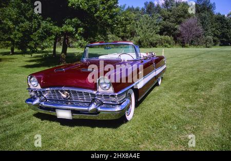 1955 Packard auf Gras. Stockfoto