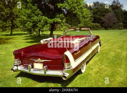 1955 Packard auf Gras. Stockfoto