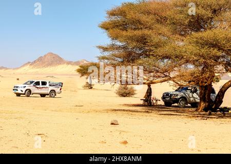 4X4 Fahrzeuge, nicht erkennbarer tuareg Mann, Essenstisch unter Akazienbaum in Djanet Sahara reg Wüstengebiet. Trockene Kräuter, gelbe Sandsteine, felsiger Berg. Stockfoto