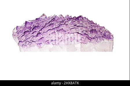 Fluorit als flaches Aggregat aus farblosen bis violetten, zonierten Kristallen. Aus Melchor Múzquiz, Coahuila, Mexiko. Stockfoto